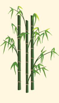 Bamb - Bamboo
